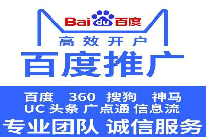 顶级SEM服务公司案例解析